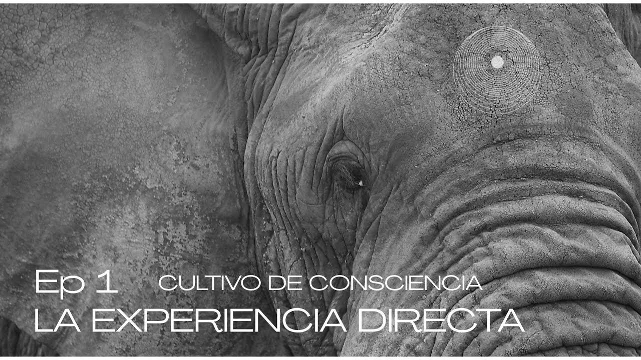 Ep -1 La Experiencia Directa