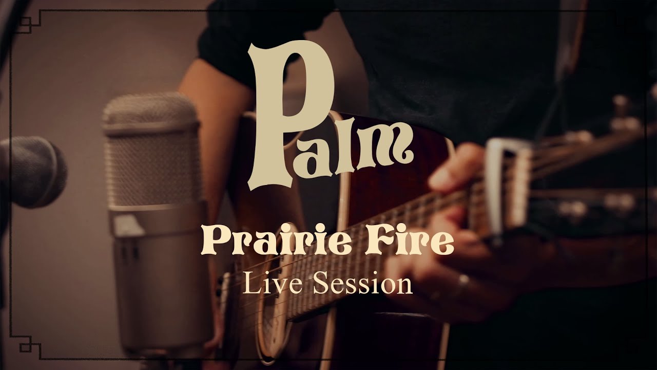 PALM - Prairie Fire (live session)