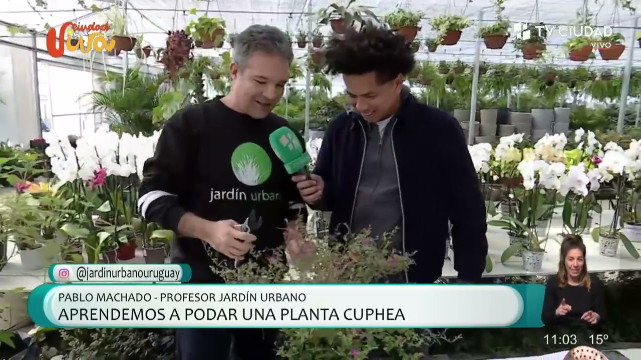 Jardín Urbano en TV Ciudad - Desde el Vivero Musacco Flores