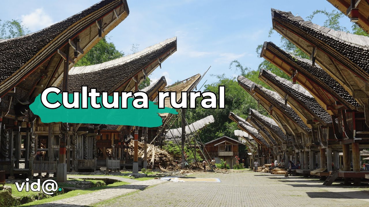 Cultura rural: tradiciones que resisten en la Espa&ntilde;a vaciada #vidatv