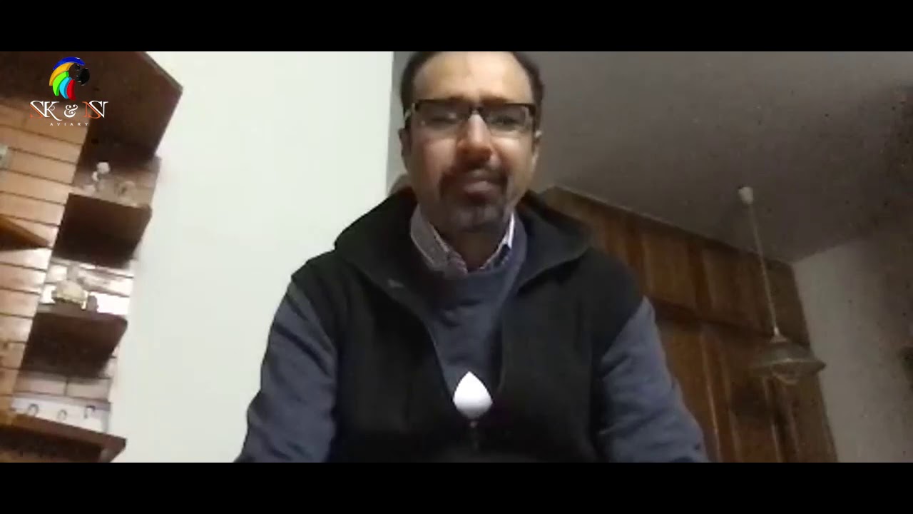 A session with Tony Silva world renowned Aviculturist, advising all sorts of parrot fanciers. Part1