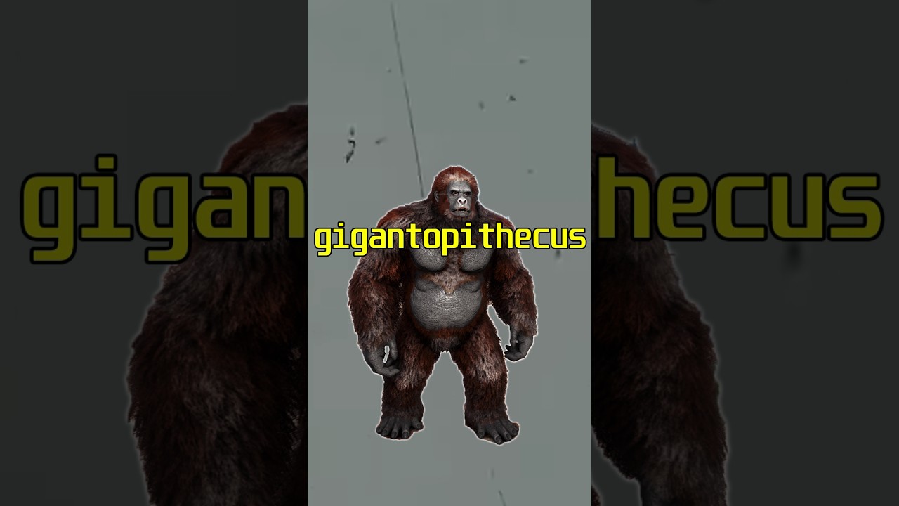 Ark Gigantopithecus🦧
