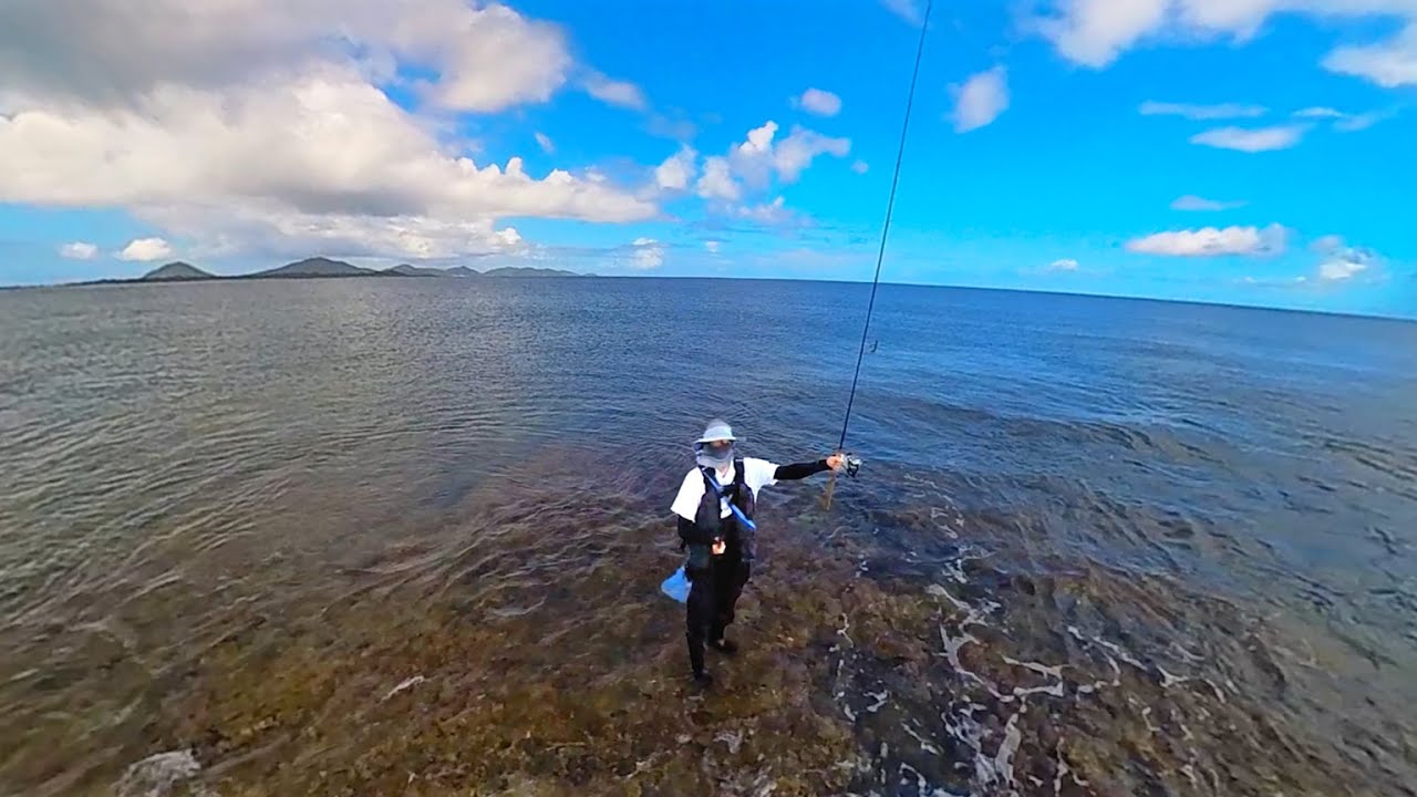 【沖縄離島】ウェーディングでまさかの五目釣り達成！南国の魚が次々ヒット！
