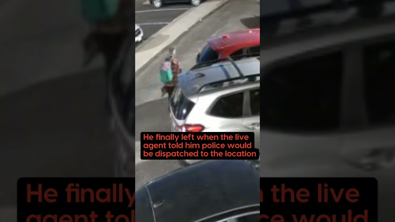 Parking Lot Thief Busted by Remote Guard in Real Time