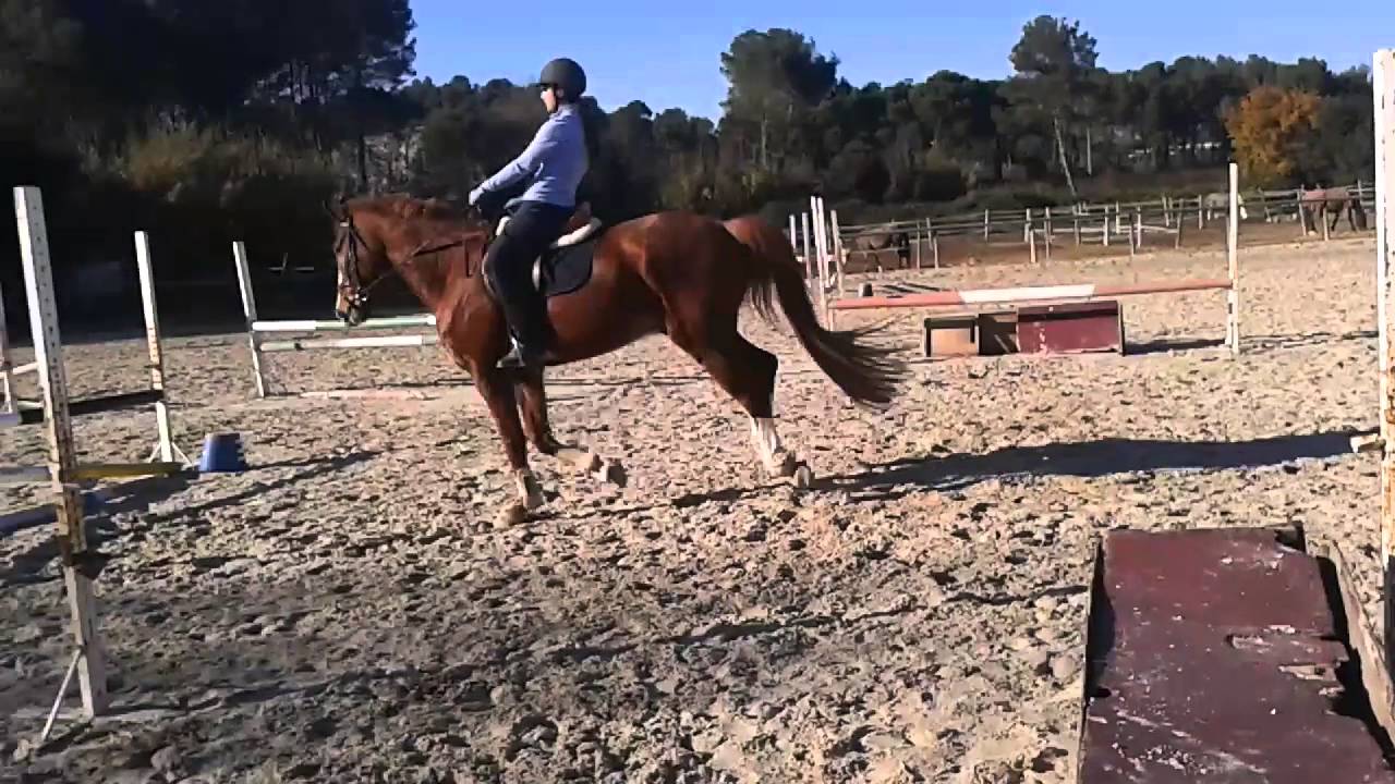 VIDEO HIPICA VIA-DUFRESNE 2015