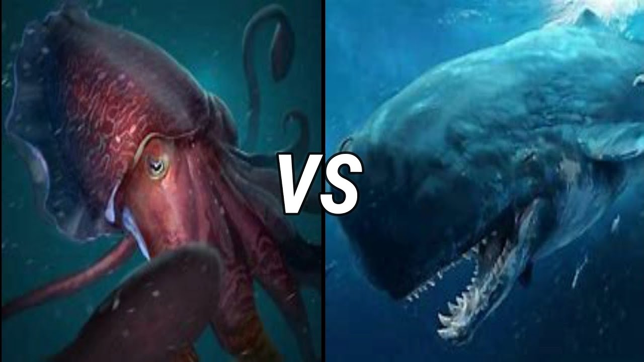 Cachalote contra Calamar gigante