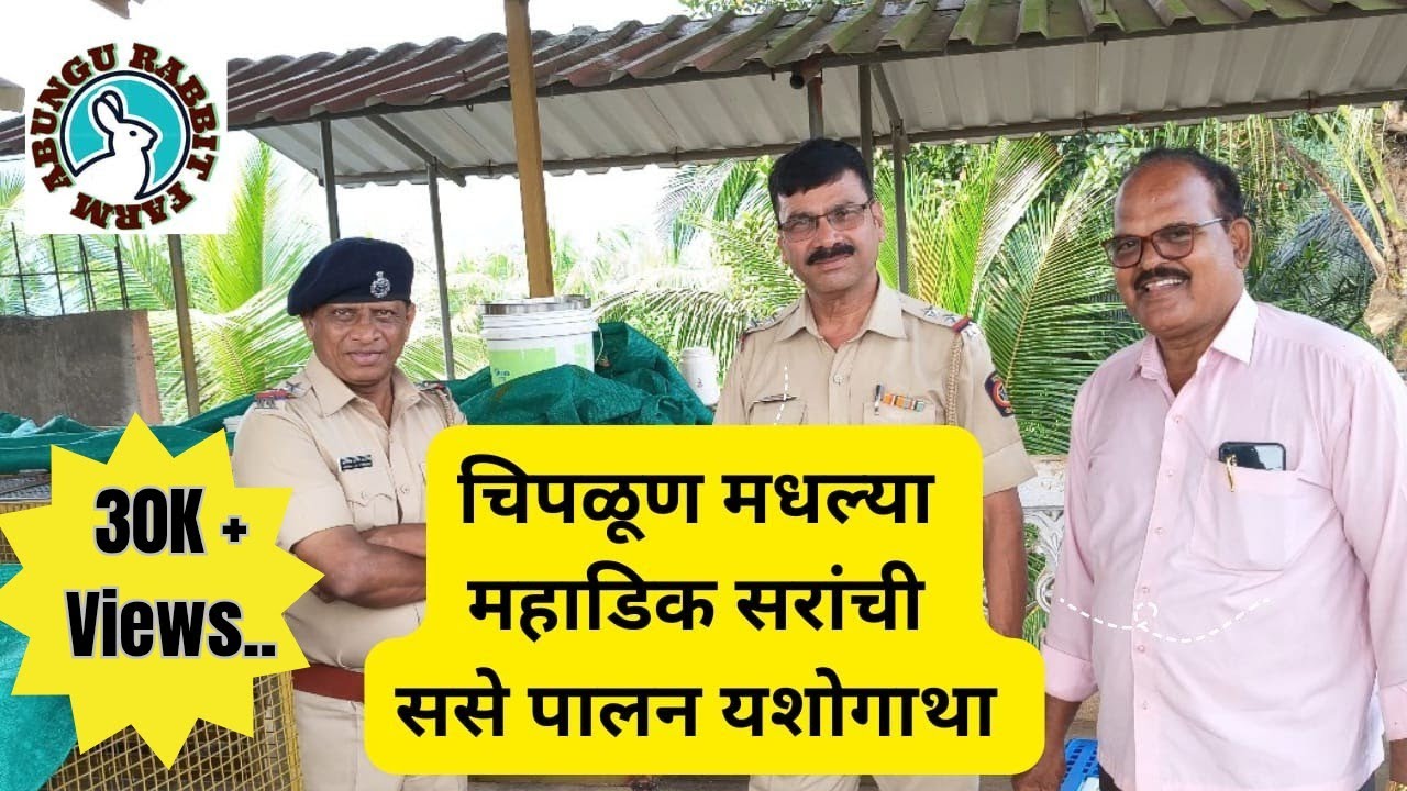 चिपळूण येथील महाडिक सरांची ससे पालन यशोगाथा #rabbitfarming #ससेपालन #farming #abungu #पशुपालन #vlog 