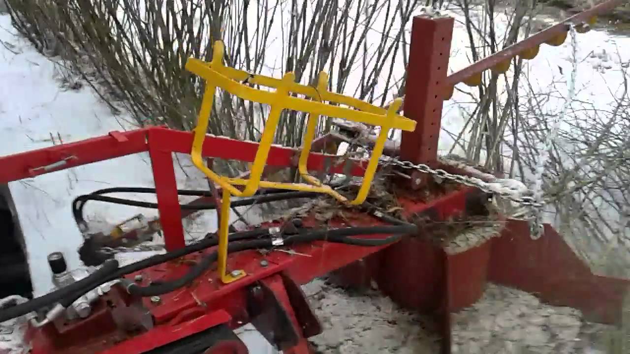 Aronia ścinanie :Sokoły 2016 01 11