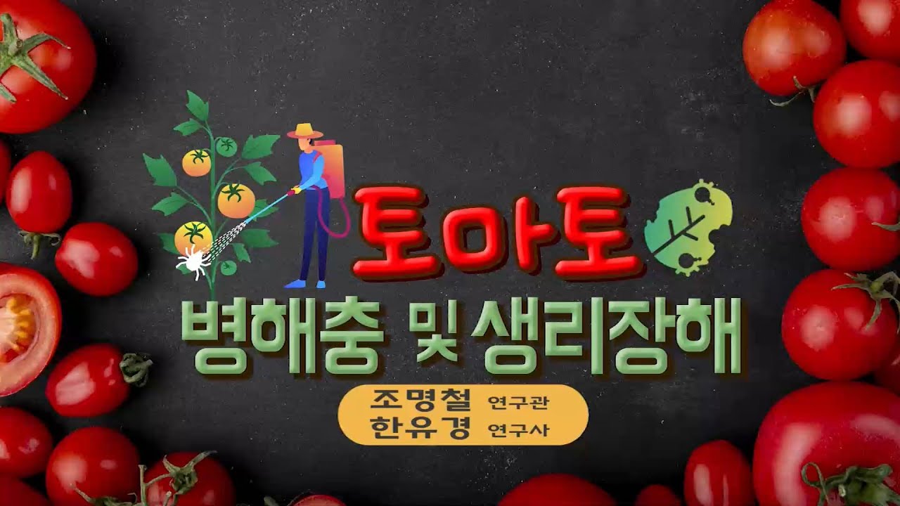 토마토 병해충 및 생리장해