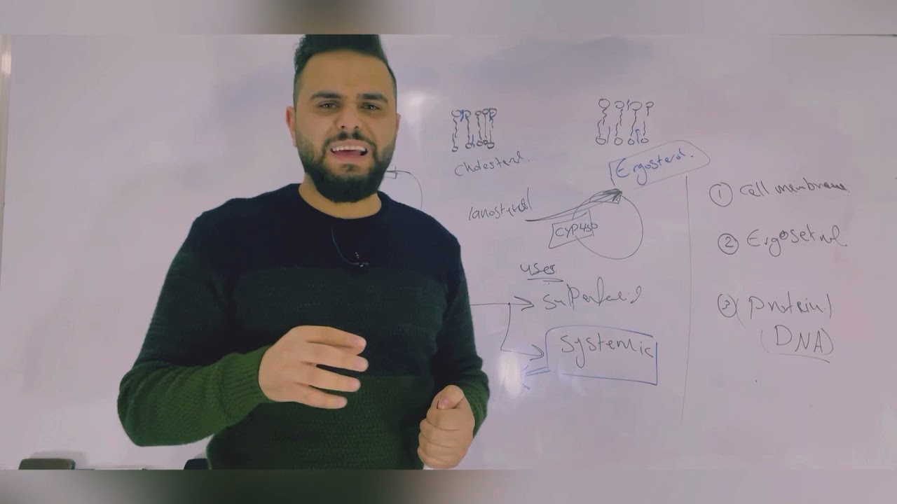 Pharmacology 3/ anti fungal drugs