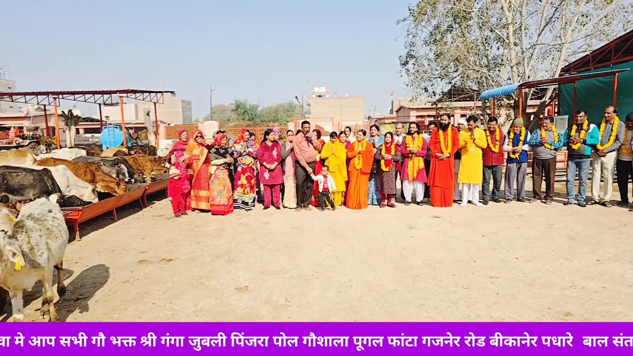 श्री गंगा जुबली पिंजरा प्रोल 21/01/26  गौशाला में आज का आनंद 