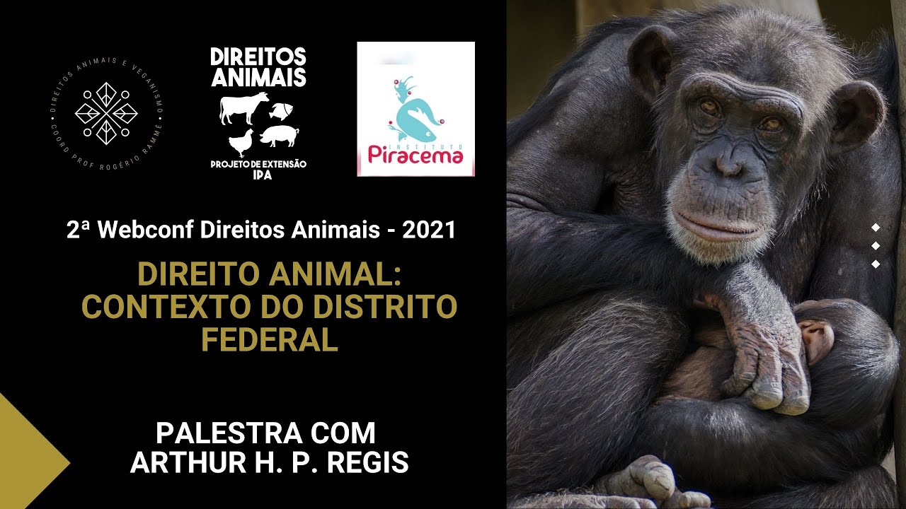 Direito Animal: contexto no Distrito Federal - Palestra com Arthur H. P. Regis