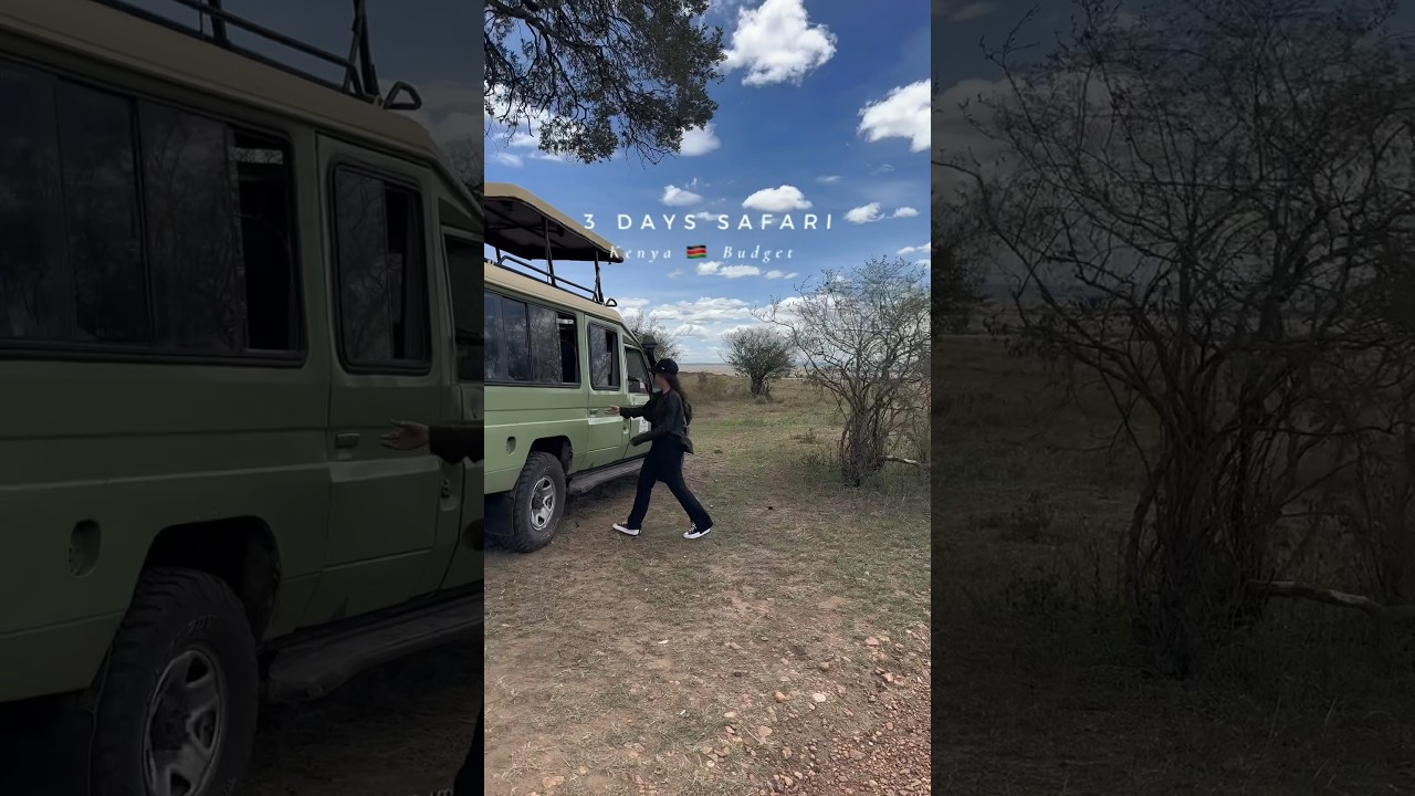 3 days Kenya 🇰🇪 SAFARI 🦁 cost (it may vary depending on periods) #travel#kenya #safari