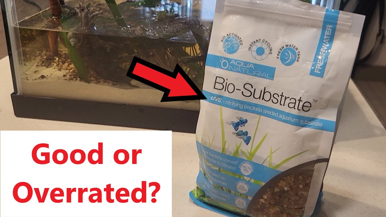 Here's What Nobody Tells You About Aqua Natural Bio-Substrate Gravel for Aquariums