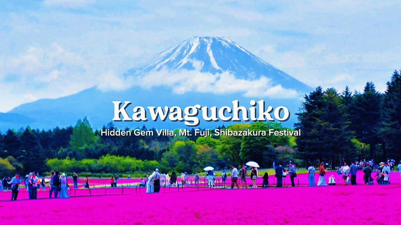 NAIK KERETA KE KAWAGUCHIKO DEMI KE FUJI SHIBAZAKURA FESTIVAL 🌸