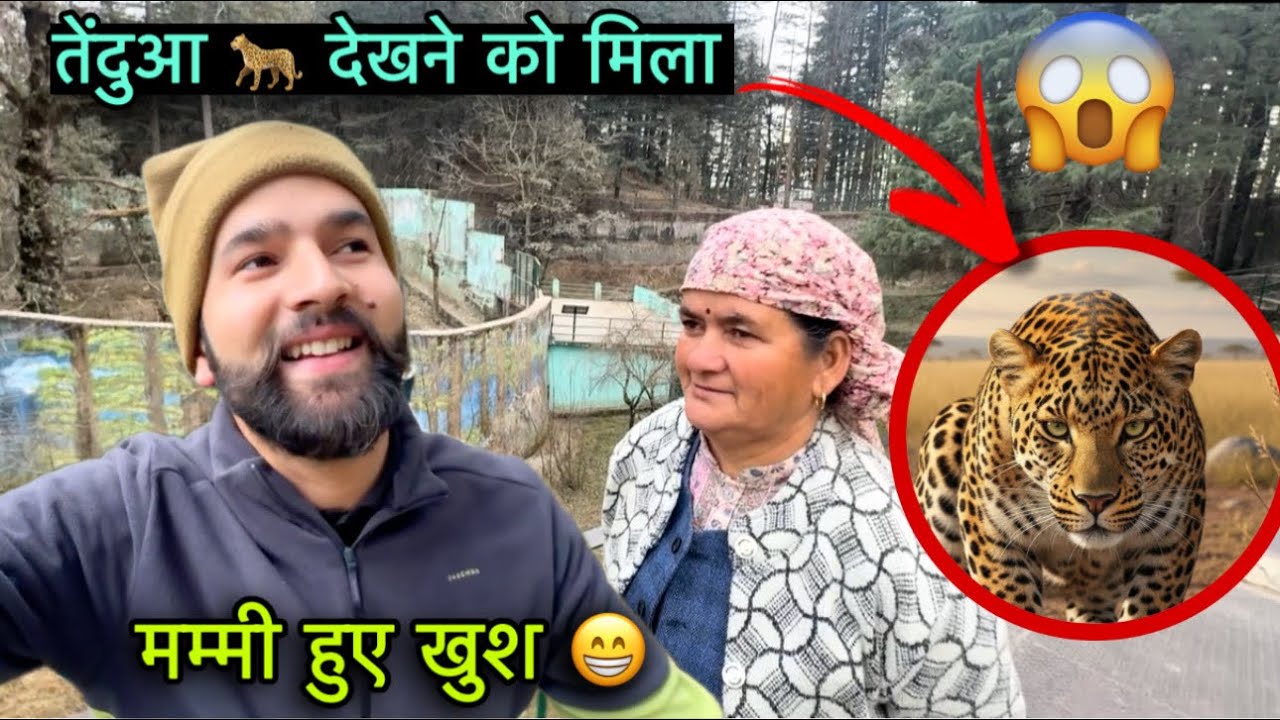 बहुत दिनों के बाद मम्मी को घुमाने ले गया || घर की वापसी || Shimla   || Rahul bro 