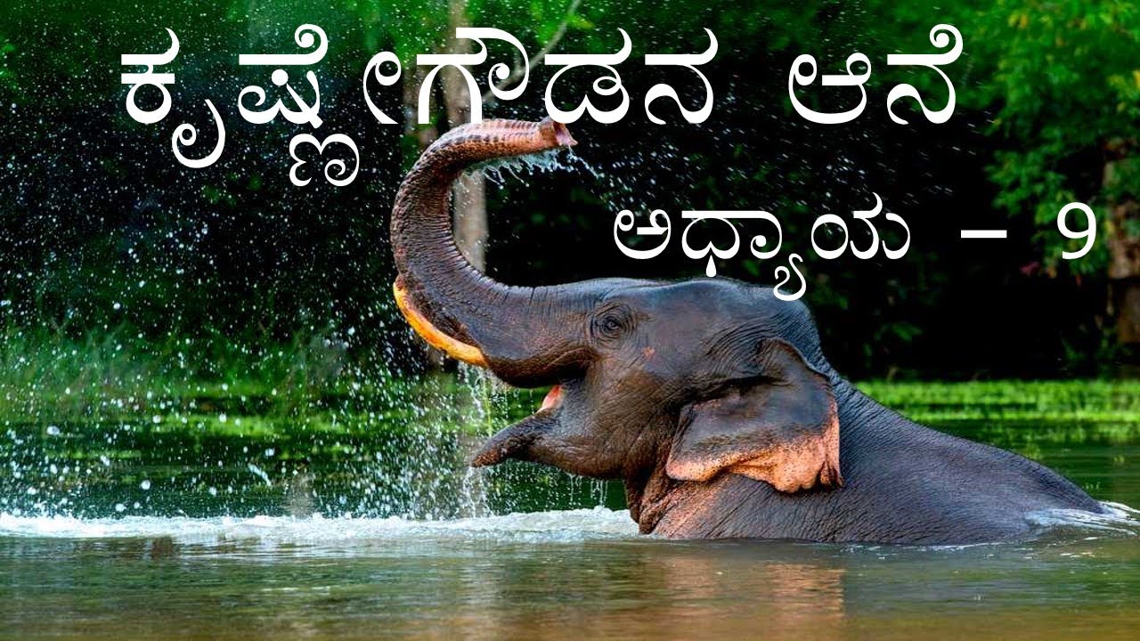 KRISHNEGOWDANA AANE | PART-9 | 2nd PUC#boardexampreparation #2ndpuckarnataka #kannada #exam #aane 