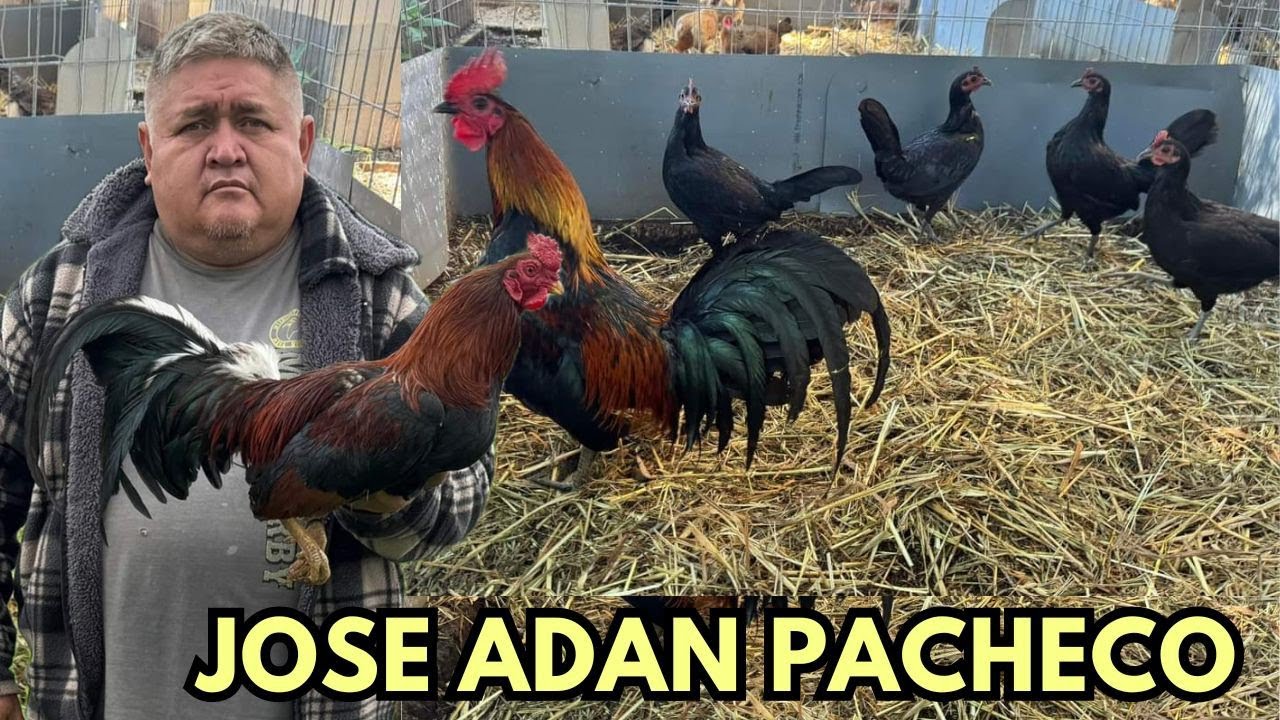 Adan Pacheco Farm - Rancho El Amarillo Cocoyoc Morelos
