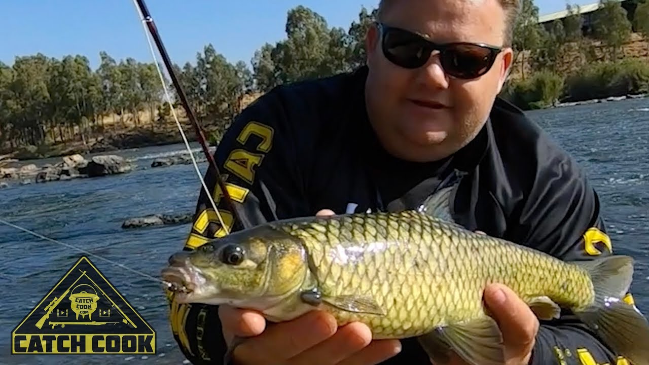 World class fly-fishing along the Vaal River [CATCH COOK]