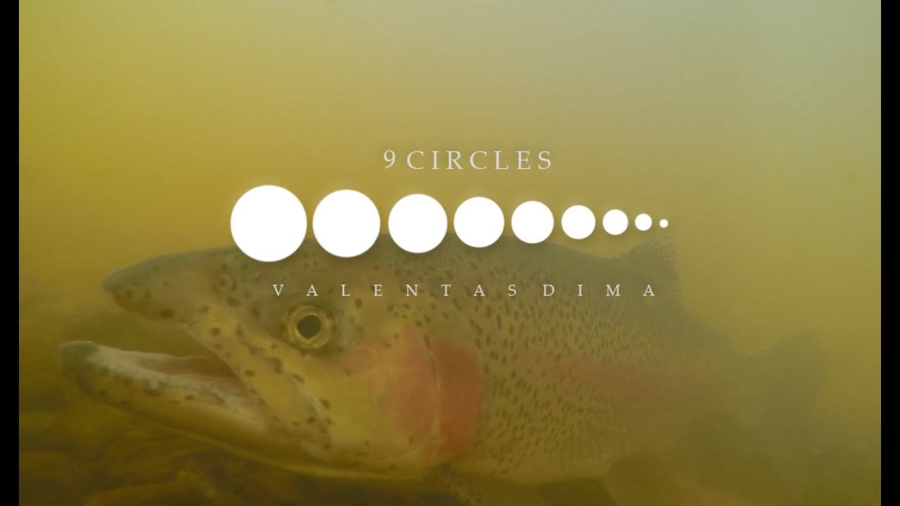 Vaivorykštiniai upėtakiai - Palijos / Rainbow trout Lithuania