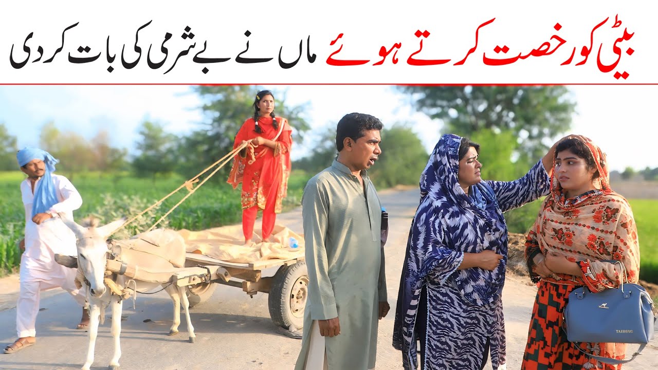 memes 2025 cricket | Ramzi,Noori, Bilo ,Bhootna,Shoki, Sanam, Falak Sher,Funny Video  Rachnavi Tv