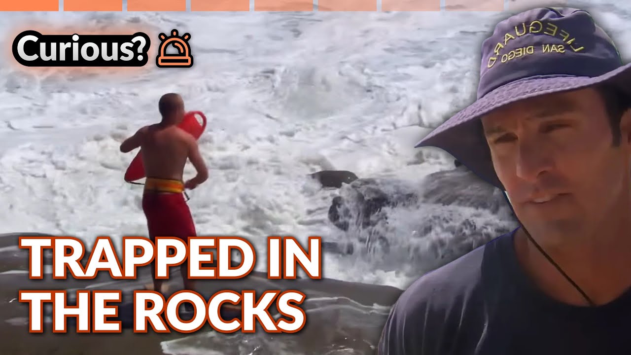Surfer Trapped at Pump House During Giant Swell | Lifeguard!