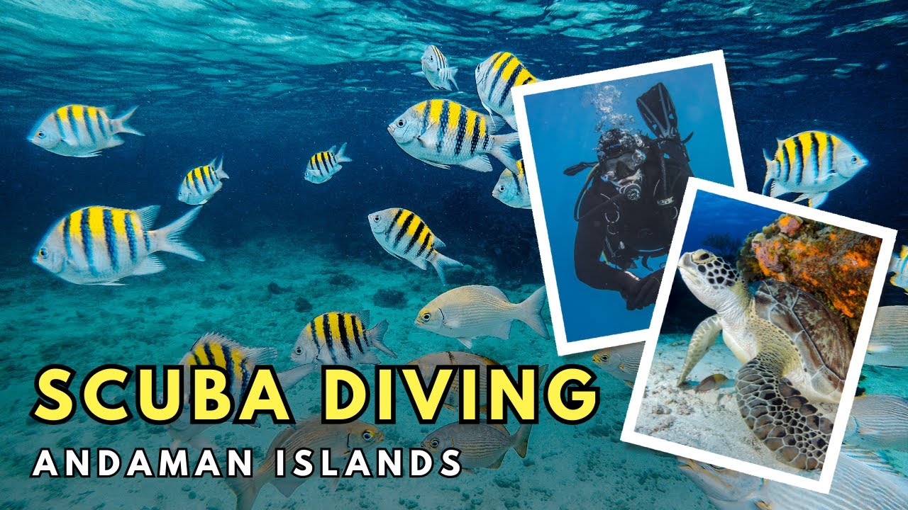 My First SCUBA DIVING Experience at Havelock Island | Andaman Islands 🇮🇳
