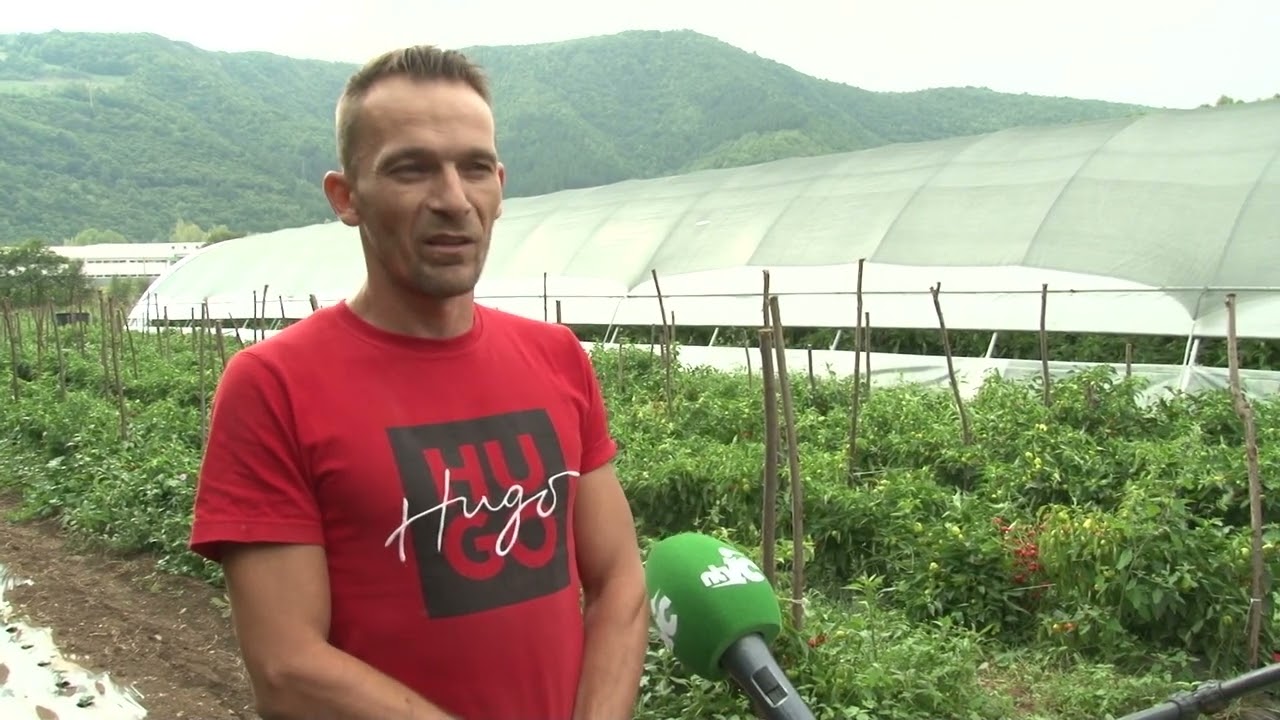 Plastenička proizvodnja na području općine Kakanj ove godine -uspješna