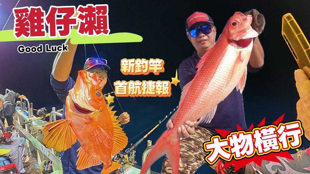 雞仔瀨實測新釣竿｜長尾濱鯛、大目鰱、大青雞全都中！南魷餌也瘋狂咬！