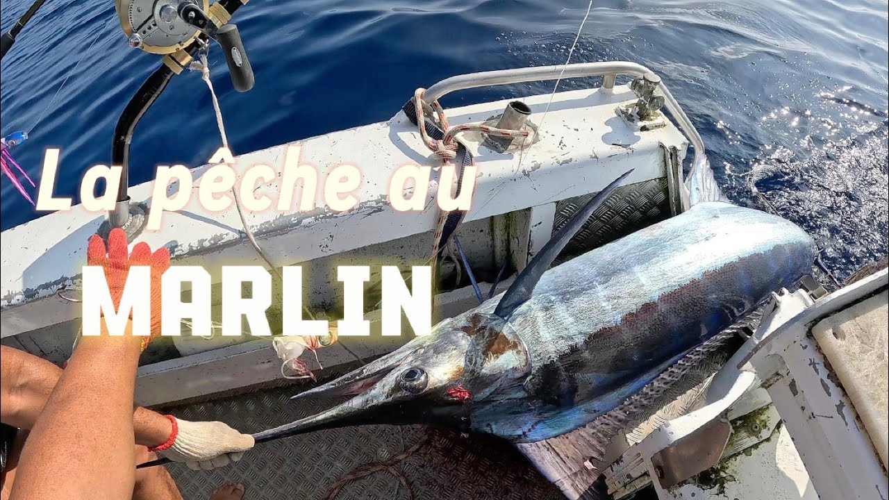 Pêche NC Marlin 2025