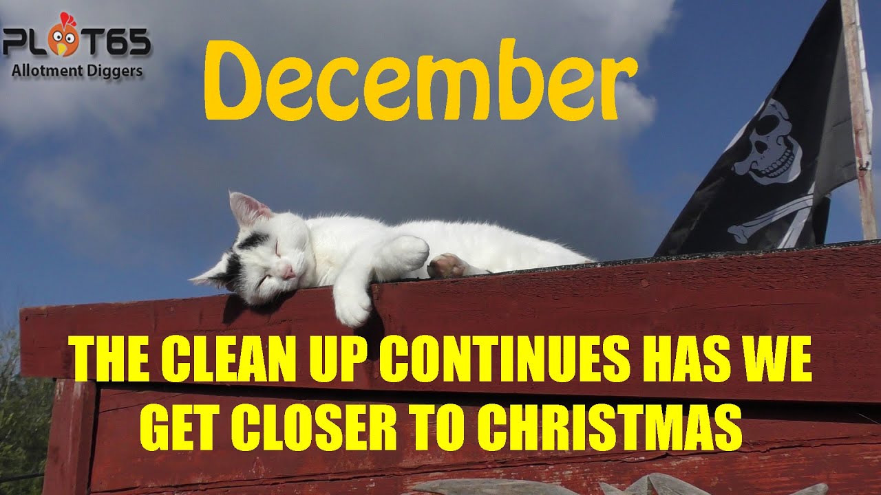 THE CLEAN UP CONTINUES HAS WE GET CLOSE TO CHRISTMAS