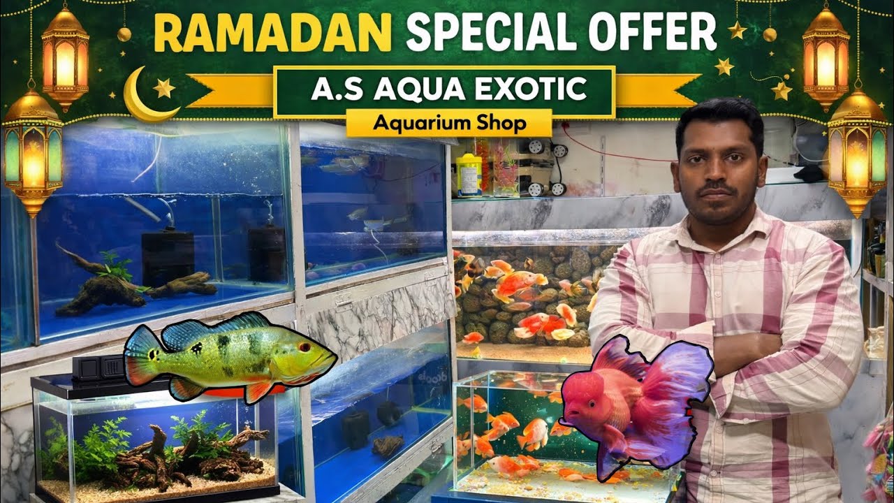 Ramadan Special Offer | Fish’s with Prices | Best Festival Offer ✨| Jaynagar | Bangalore 