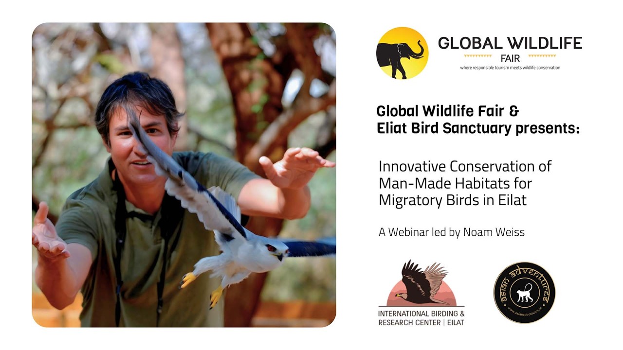 GWF 2025 Exhibitor | Eilat Bird Sanctuary & Migratory Bird Conservation