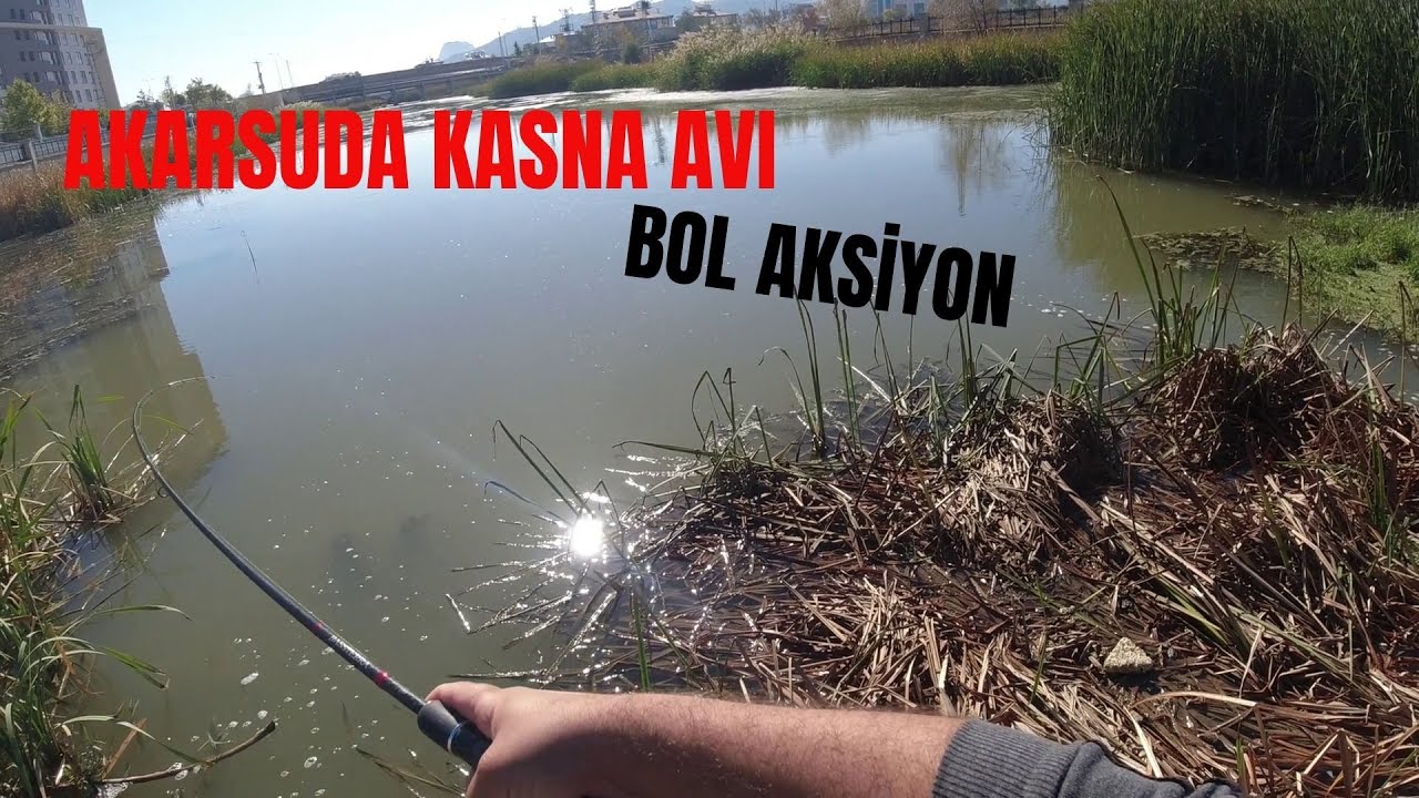 LRF İLE KASNA AVI (HER ATIŞ AKSİYON)!!!