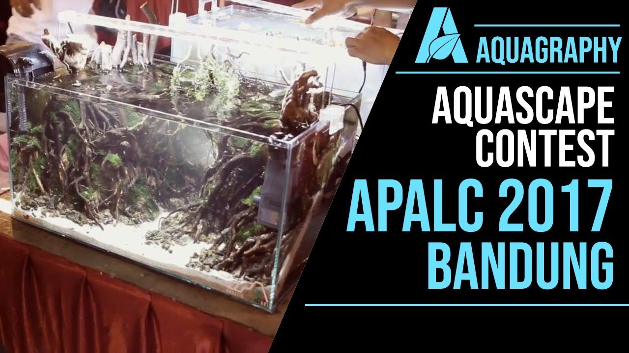 Aquagraphy - APALC - Aquascape Contest - Bandung 2017