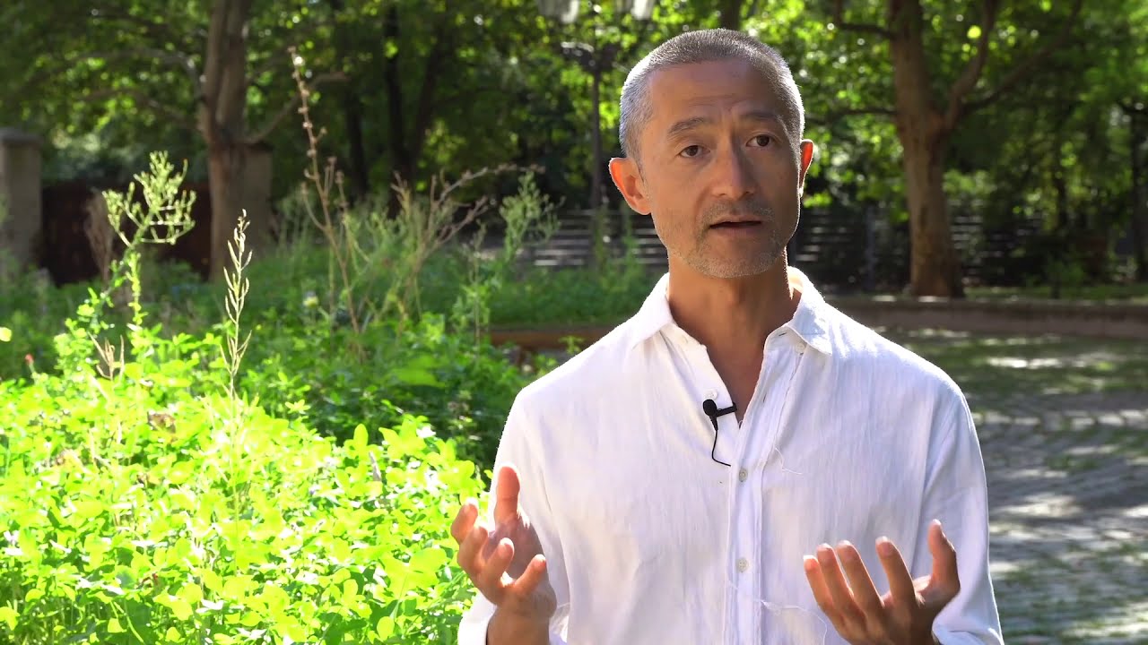 Zheng Bo, how do you approach your work on plants as an artist?