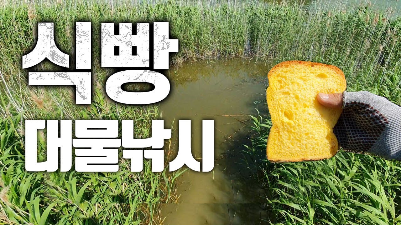 Рыбалка в пресной воде с кусочками хлеба