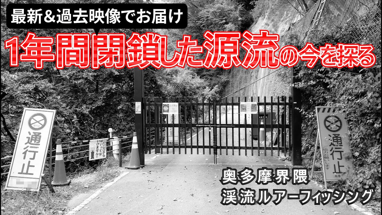 【渓流ルアーフィッシング】1年間閉鎖された源流の今を調べてみた・奥多摩源流界隈
