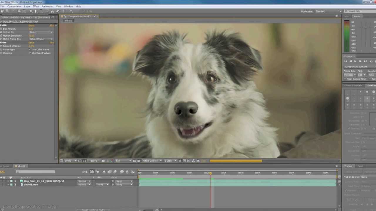 Promotheus: yes5HD campaign  - the making of the talking dog