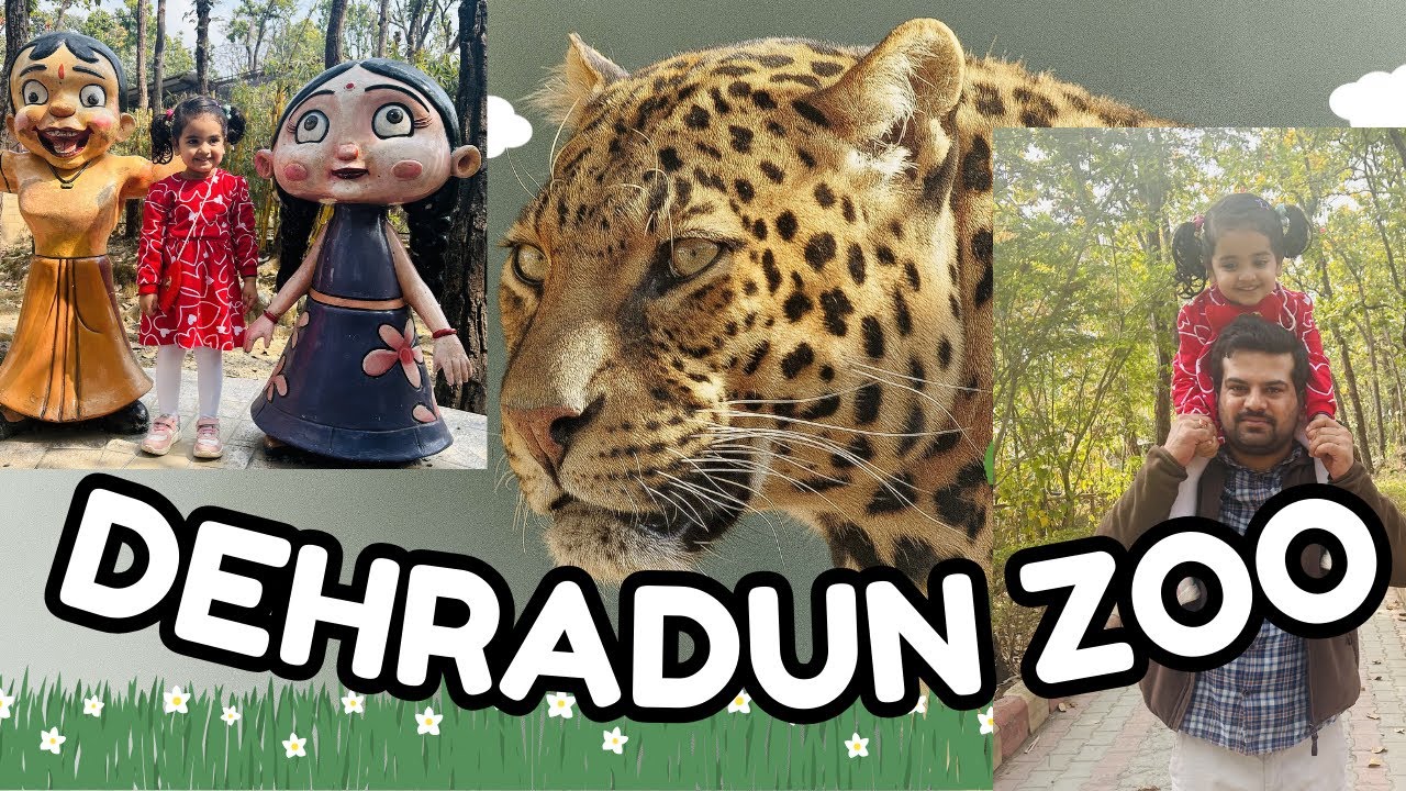 Dehradun Zoo Tour 2026 | Mussoorie road | Must visit place in Dehradun #Dehradun #viralvideo 