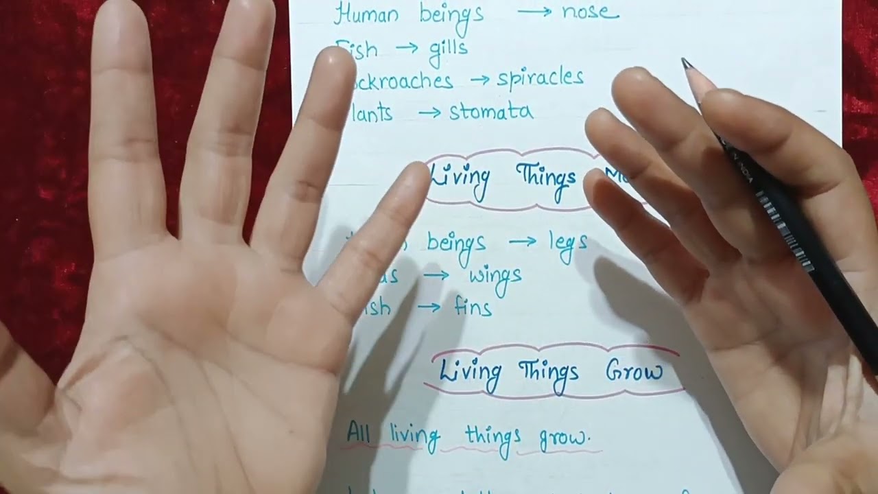 Living Things and Non Living Things || Class 3 Science Living Things and Non Living Things ||
