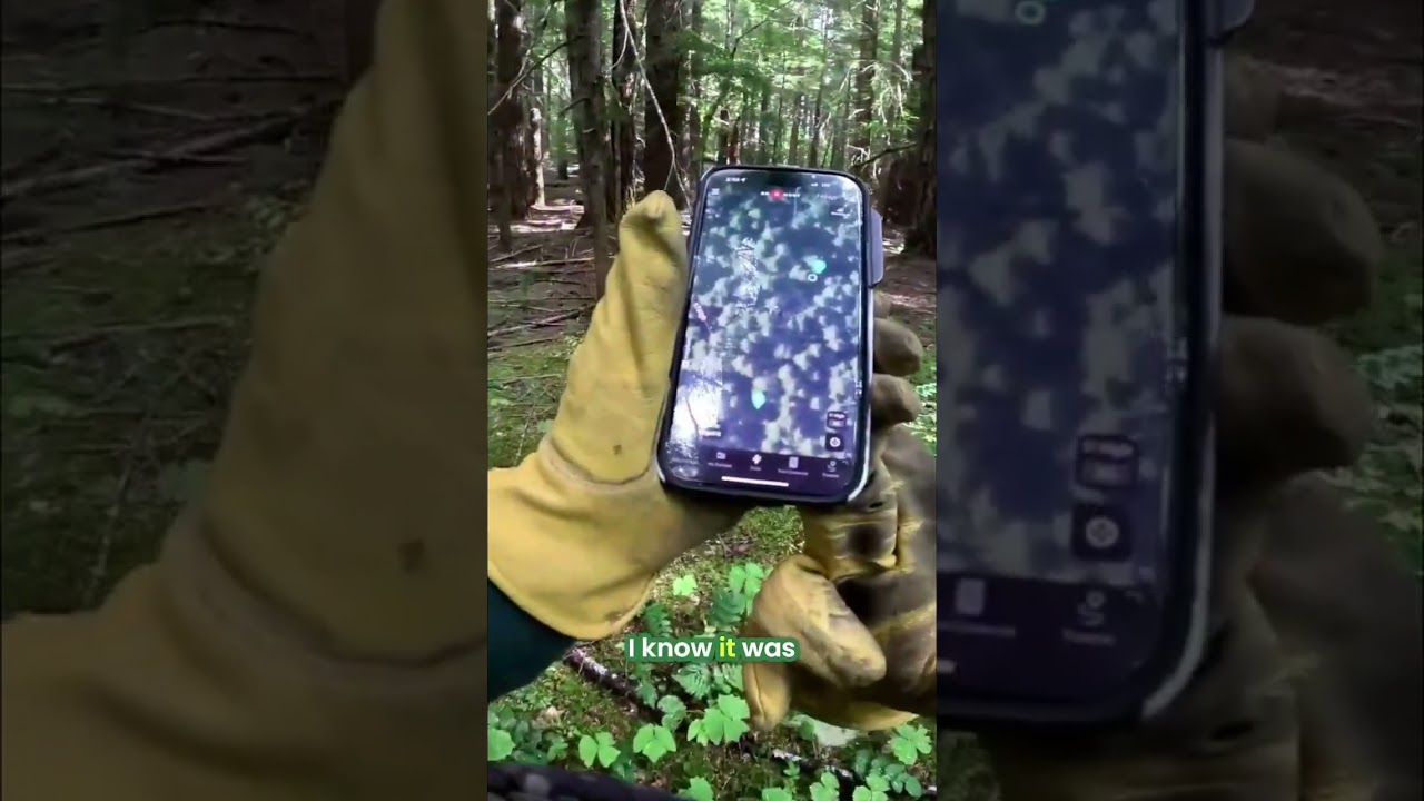 Finding My Hidden Trail Camera In The Wild Woods 