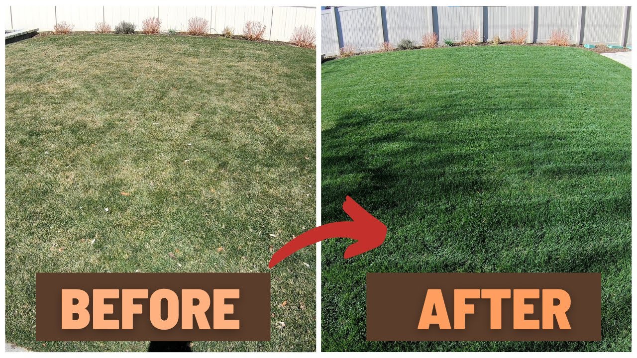 3 Lawn Tricks to Make Your Yard the Envy of the Neighborhood!