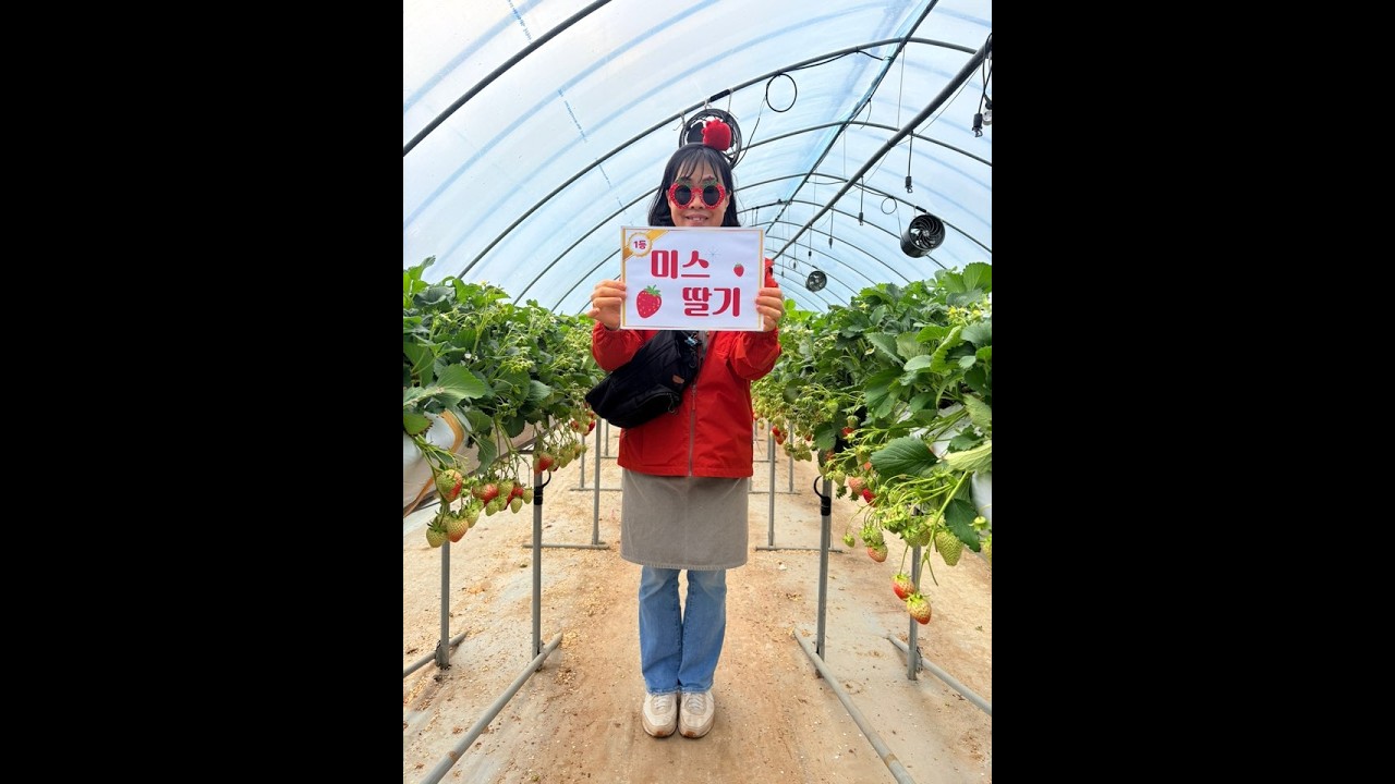 딸기체험 다녀왔습니다!!!