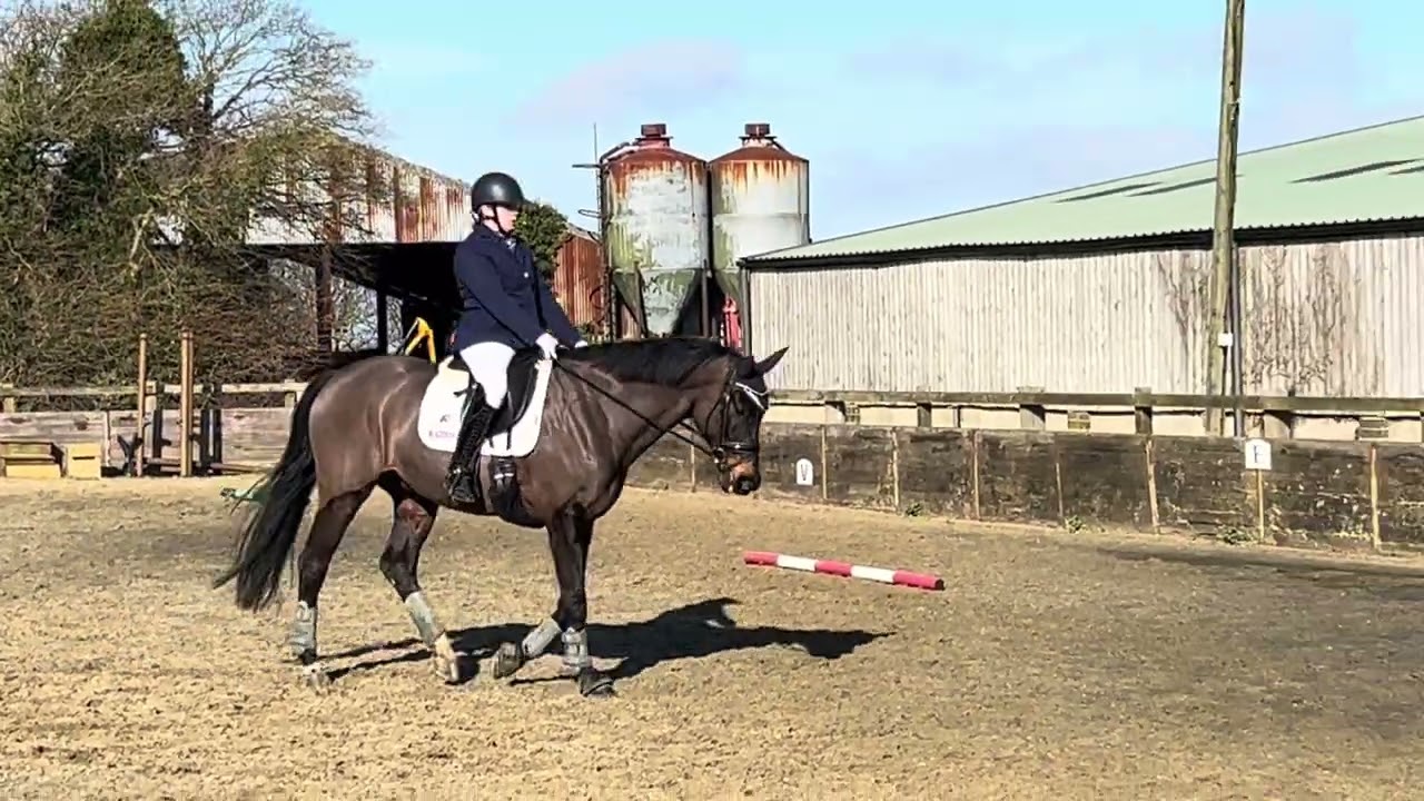 Round 1 2026 Virtus II3 entry FEI Grade IV Novice A. Laura Crew & E-Mail 
