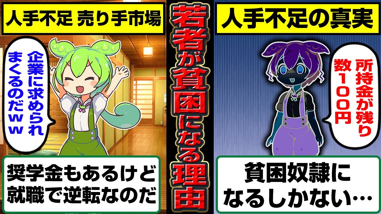 現代日本さん、なぜか人手不足なのに若者の貧困奴隷が大量発生してしまう【ずんだもん】