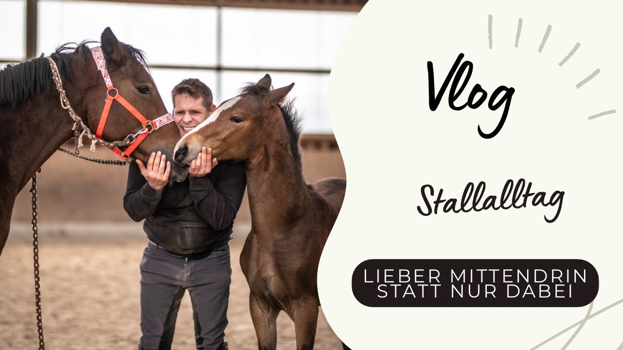 Chaos mit Stute & Fohlen, neuer Sattel für Zoe, Miri reitet und das Fohlen ist ohne Mutti unterwegs