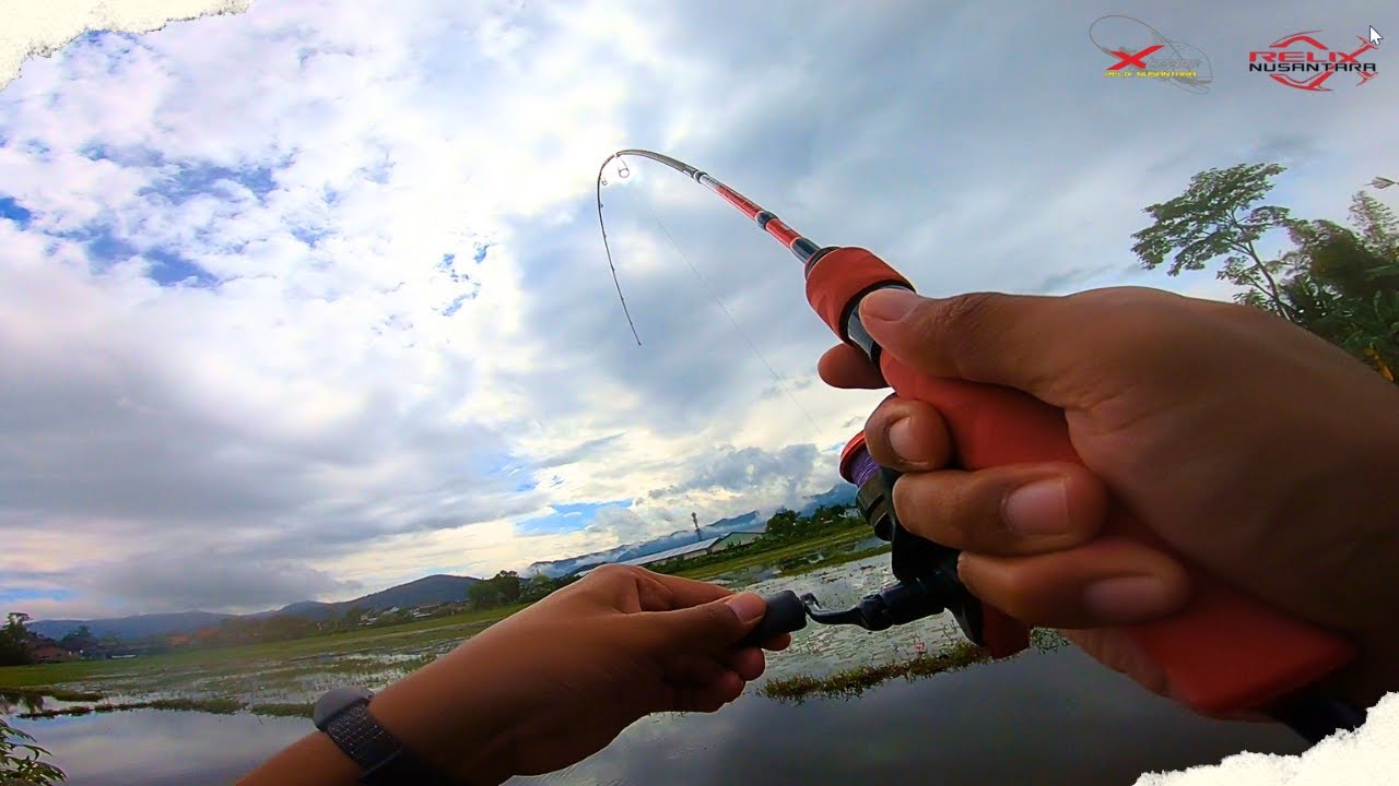 ULTRALIGHT CASTING‼️Casting Gabus Di Sawah Bersama Joran Relix Gasak 642 1-3 lb