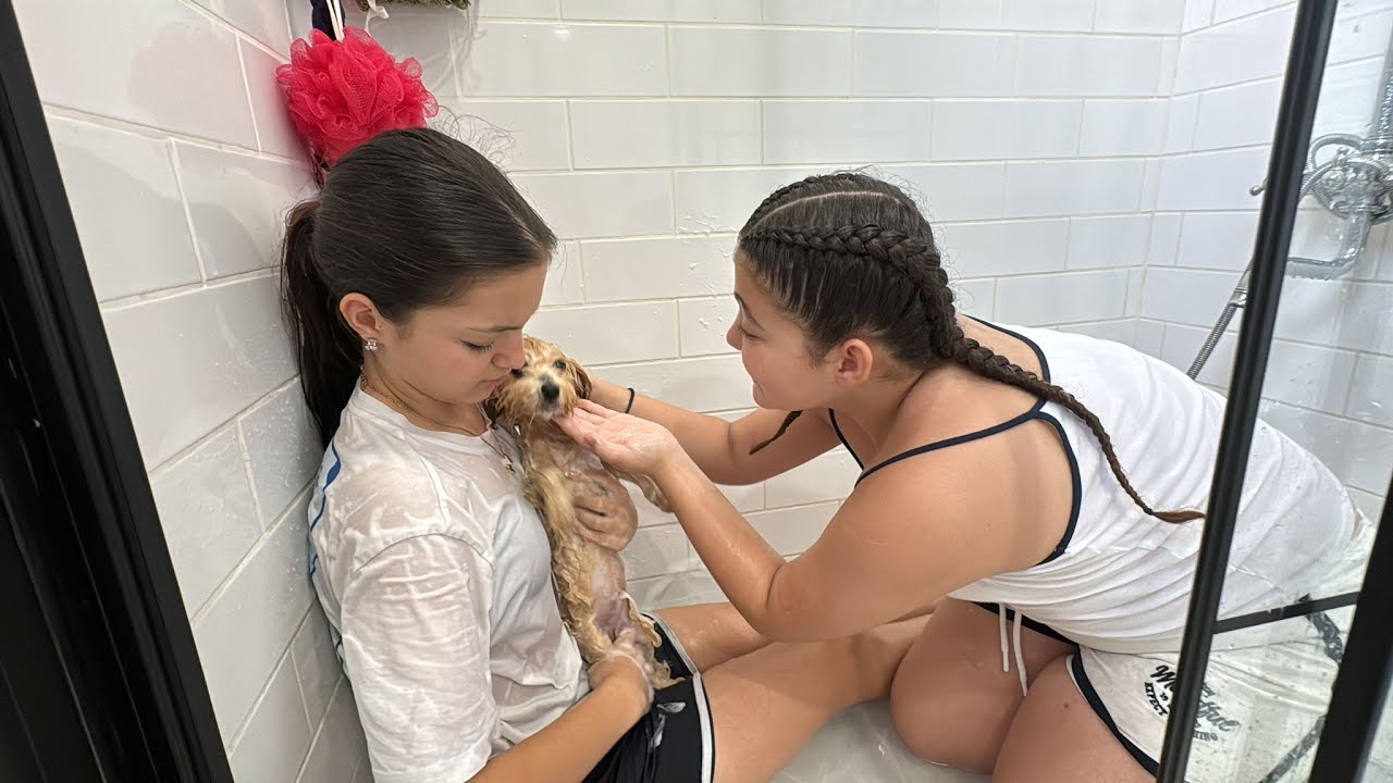 MASAL VE ÖYKÜ KÖPEĞİ LEO'YA BAKIM YAPTI