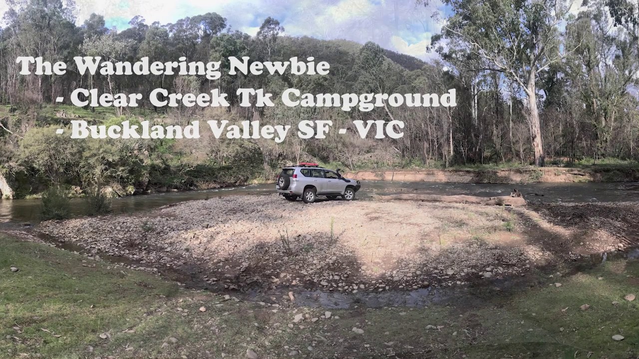 Clear Creek Track Campground - Buckland Valley SF - Victoria